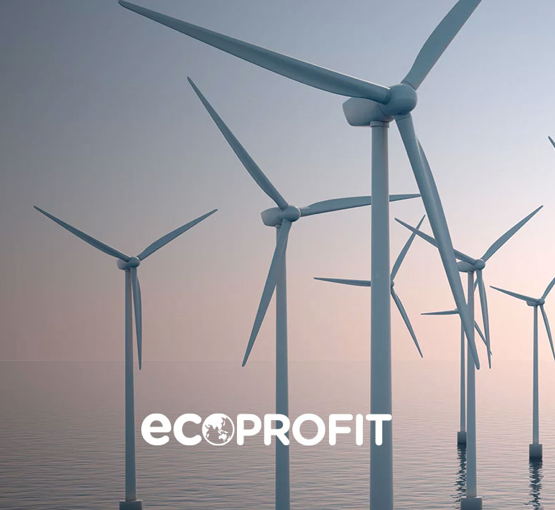 Eco Profit 