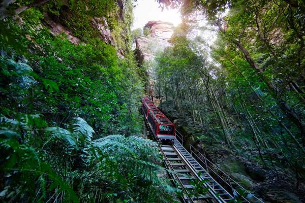 Scenic World